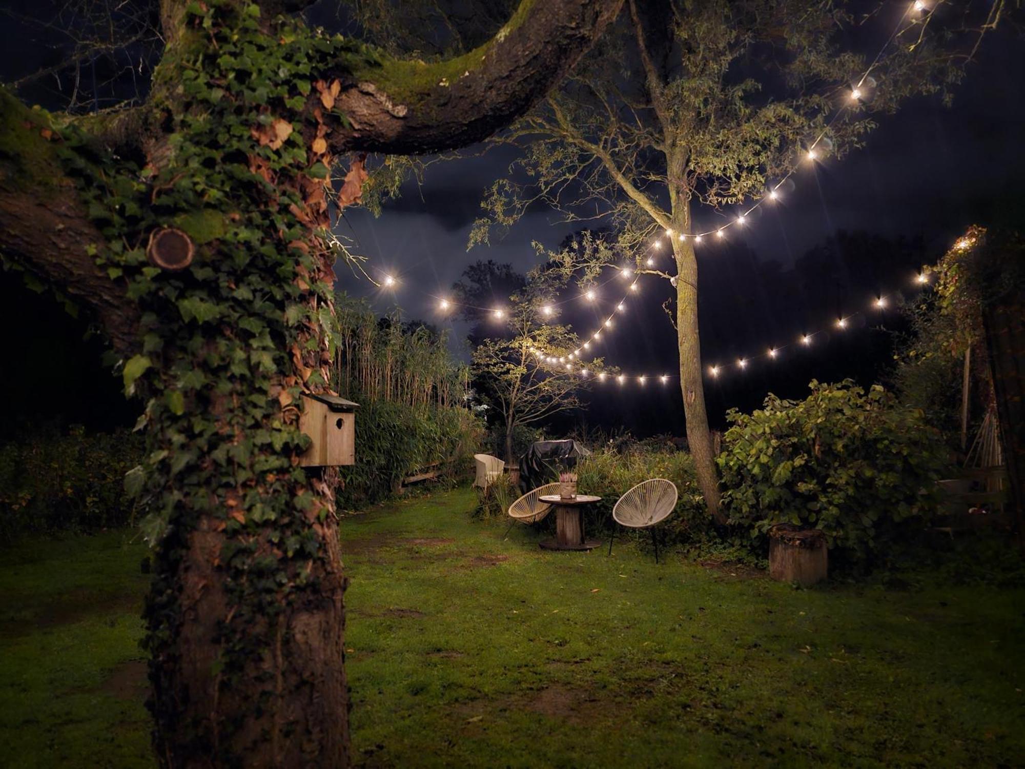 Weberhof-Muenster Glamping Hotel Екстериор снимка